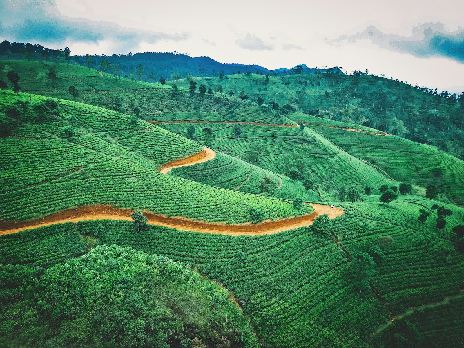 Nuwara Eliya